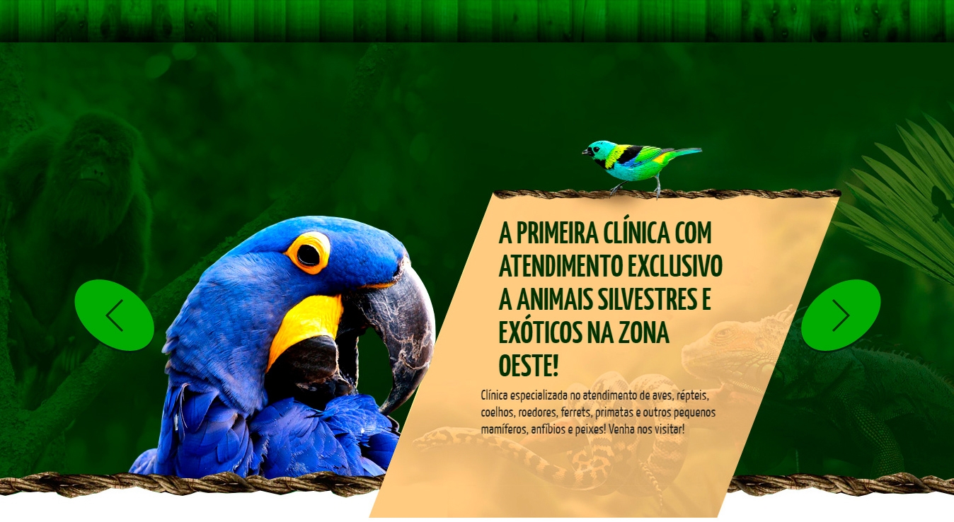 aves-Exoticare-Banner1
