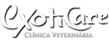 aquecimento para répteis - ExotiCare Clínica Veterinária