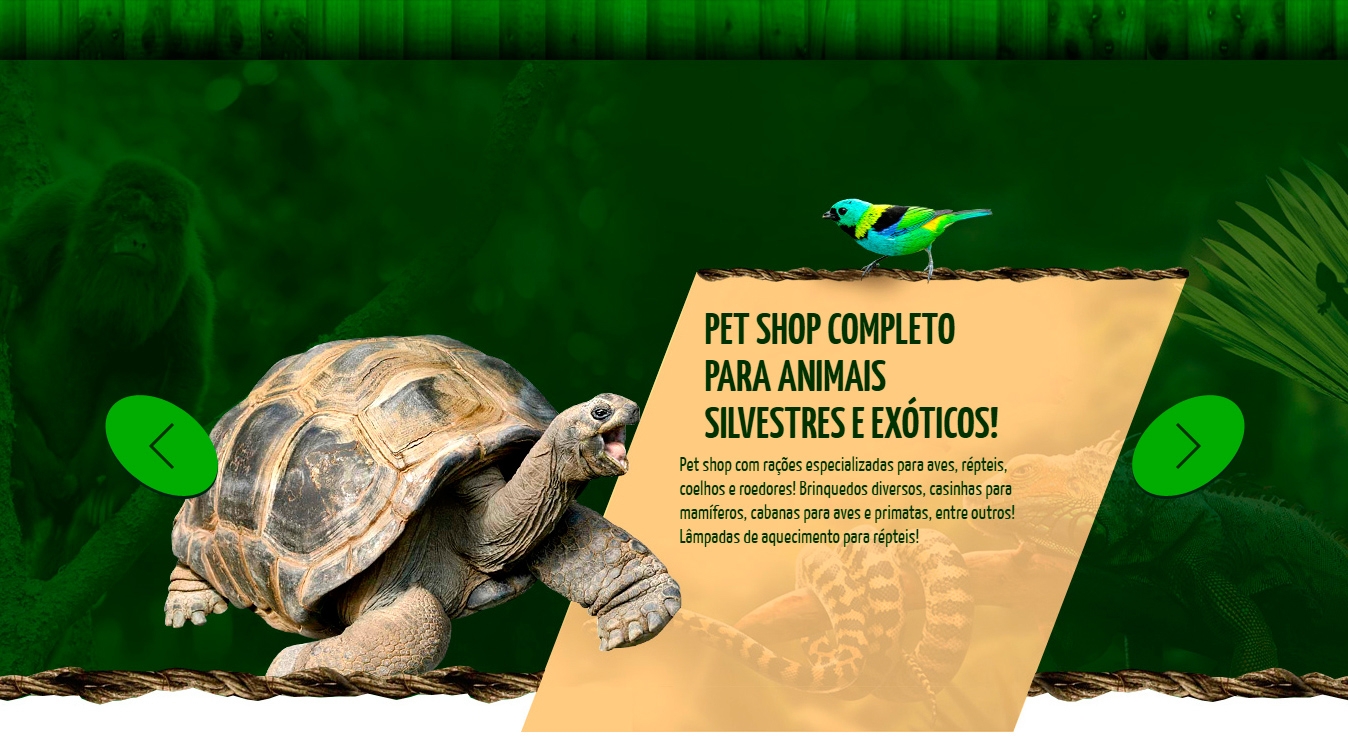 repteis-Exoticare-Banner2