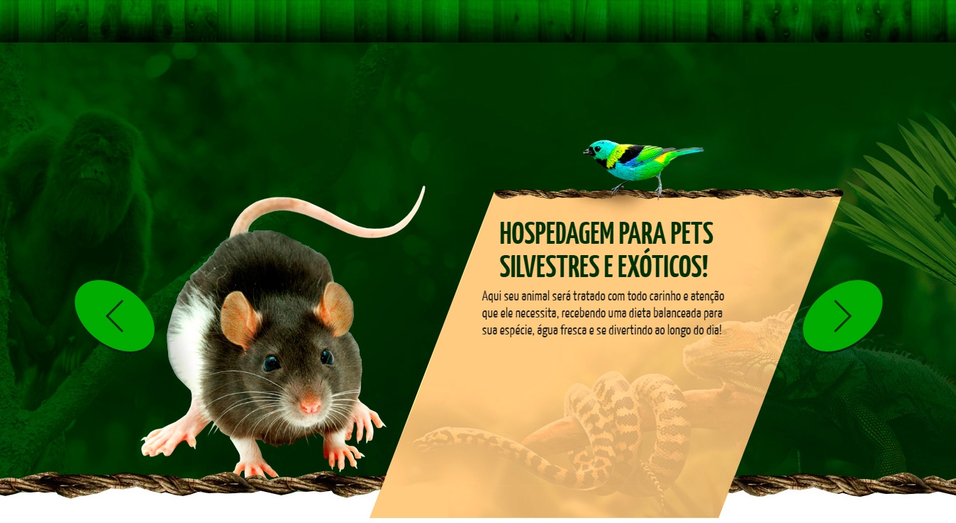 roedores-Exoticare-Banner3