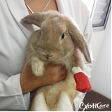 clínica para animais silvestres valor Casa Verde