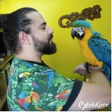 clínica para aves Parque São Domingos