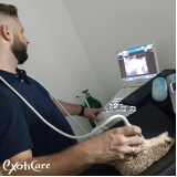 encontrar veterinário para hedgehog Vila Sônia