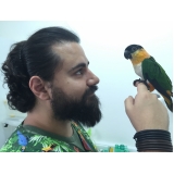 especialista em pássaros preços Consolação