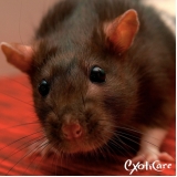 Hotel para Animais Silvestres