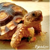 hospedagem para animais silvestres valor Butantã