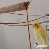 hotel para aves Alto da Lapa