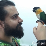 médico para papagaio valor Pacaembu