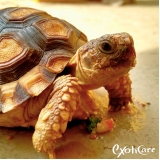 onde tem veterinário para animais silvestres Lapa