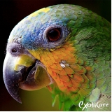 Clínicas Veterinárias