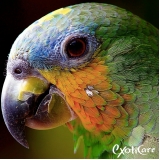 veterinário especialista em aves qual o valor Pirituba