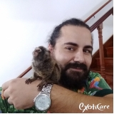 veterinário para sagui valor Jardim Everest