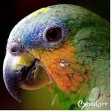 veterinário silvestre valor Parque Peruche